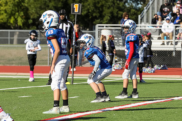 186mpblue wildcats1023