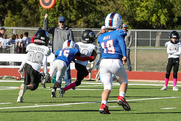 193mpblue wildcats1023-2
