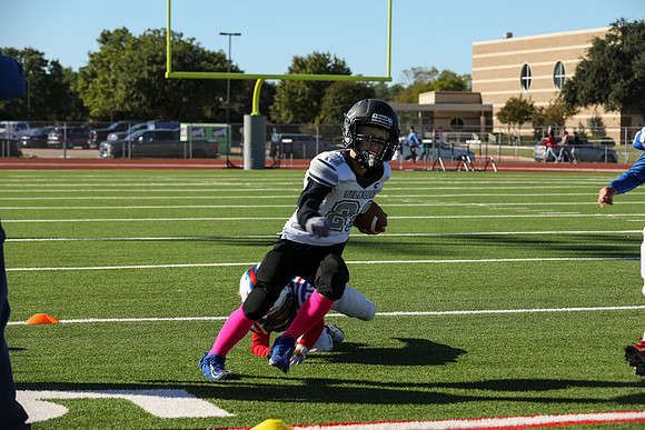 202mpblue wildcats1023