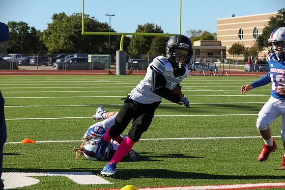 203mpblue wildcats1023