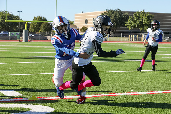 204mpblue wildcats1023