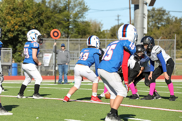 210mpblue wildcats1023