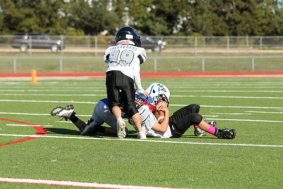 211mpblue wildcats1023