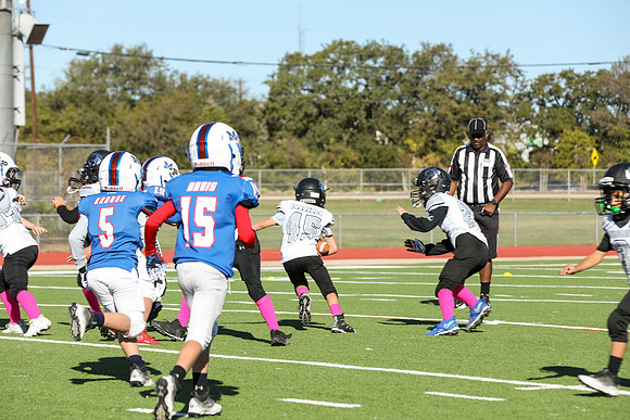 221mpblue wildcats1023