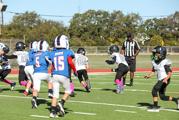 222mpblue wildcats1023