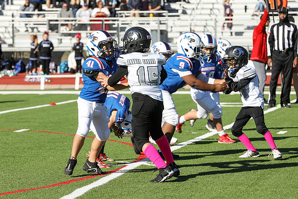 225mpblue wildcats1023