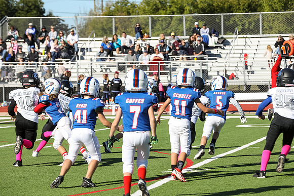229mpblue wildcats1023
