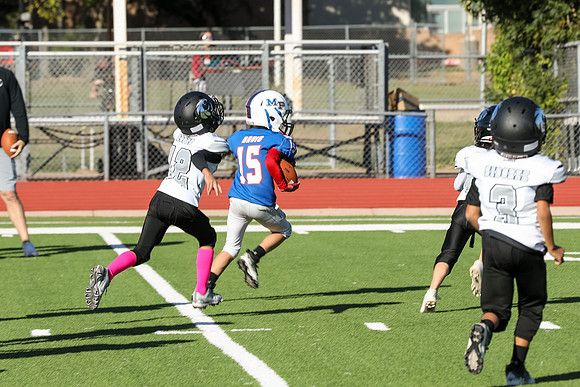 233mpblue wildcats1023