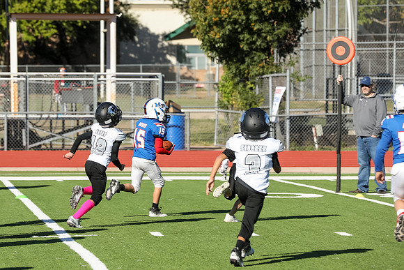 234mpblue wildcats1023
