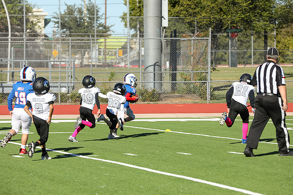 235mpblue wildcats1023