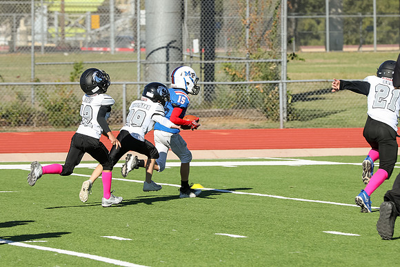 236mpblue wildcats1023