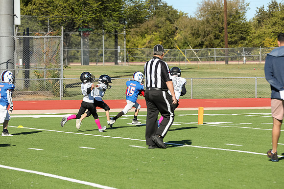 237mpblue wildcats1023
