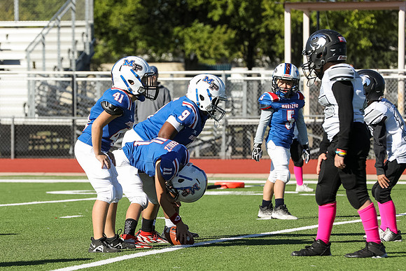 243mpblue wildcats1023