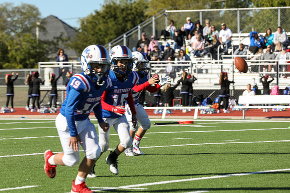 251mpblue wildcats1023