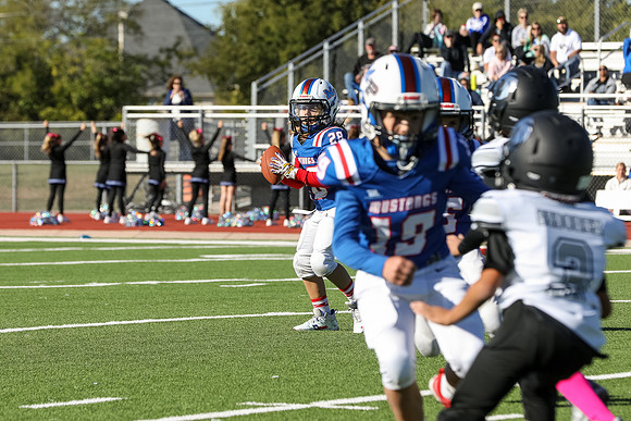 252mpblue wildcats1023