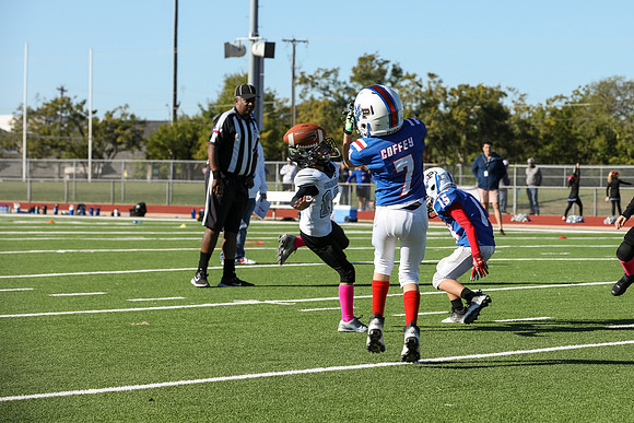 254mpblue wildcats1023