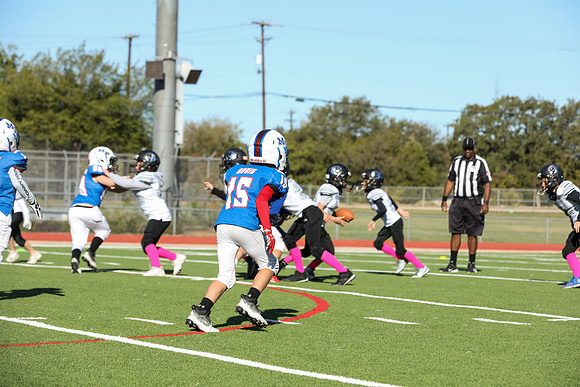 262mpblue wildcats1023