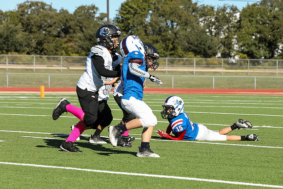 283mpblue wildcats1023