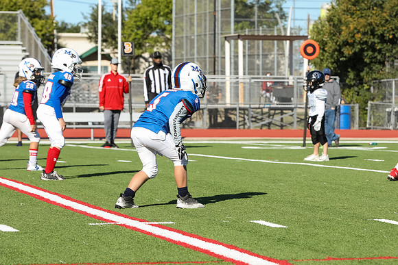 295mpblue wildcats1023