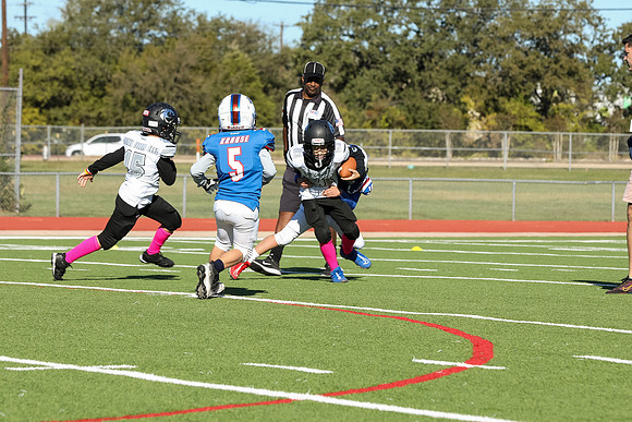 302mpblue wildcats1023