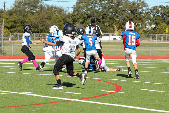 306mpblue wildcats1023