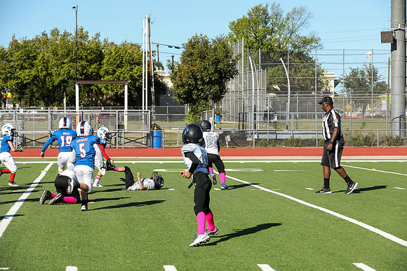314mpblue wildcats1023