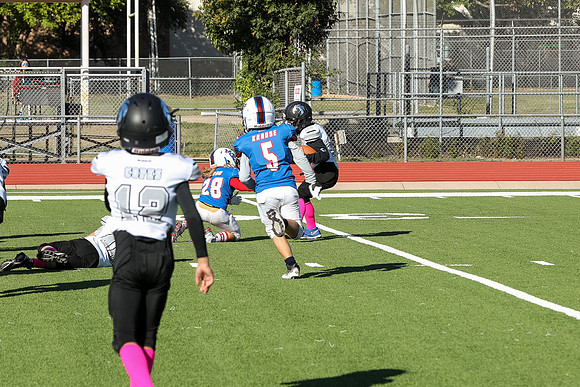 316mpblue wildcats1023
