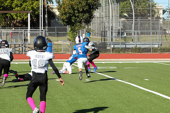 317mpblue wildcats1023