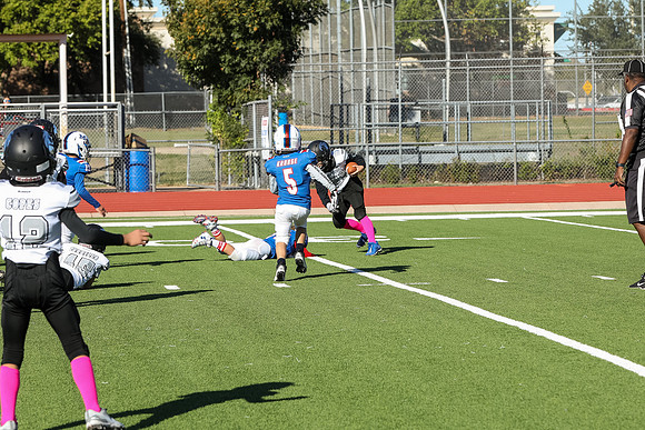 318mpblue wildcats1023