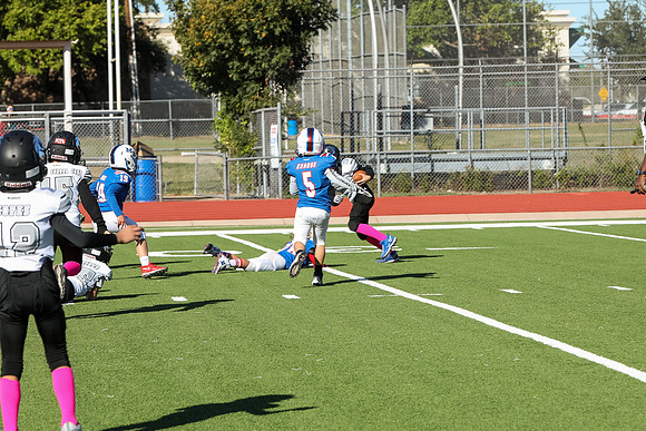 319mpblue wildcats1023