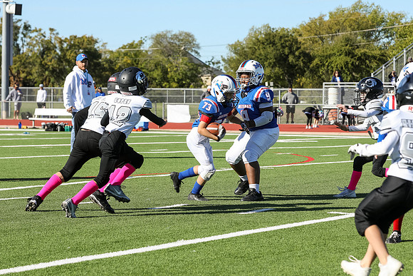 337mpblue wildcats1023
