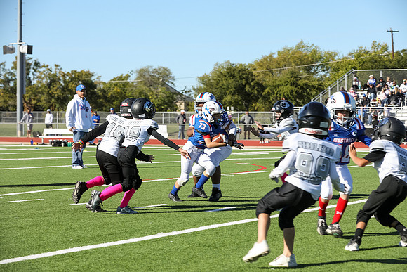 338mpblue wildcats1023