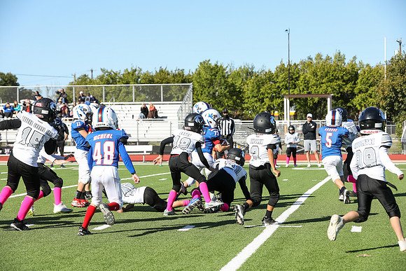 341mpblue wildcats1023