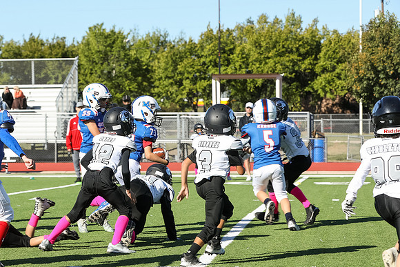 342mpblue wildcats1023