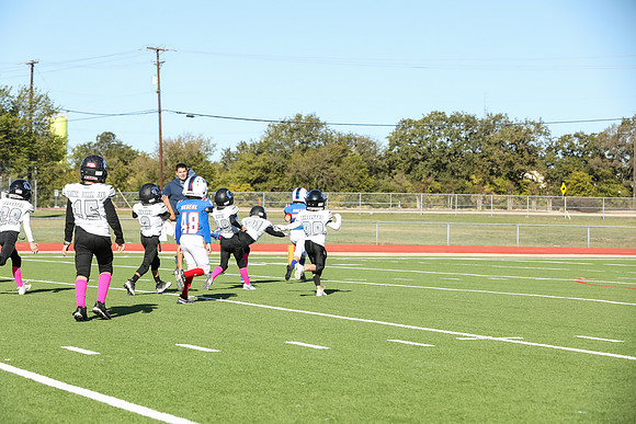 351mpblue wildcats1023