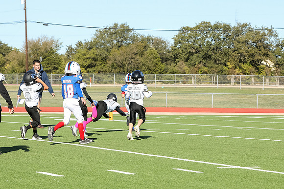 352mpblue wildcats1023
