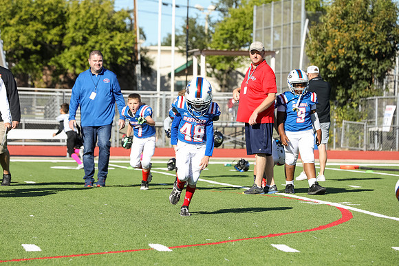 369mpblue wildcats1023