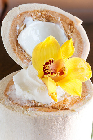 Desert Food Photography